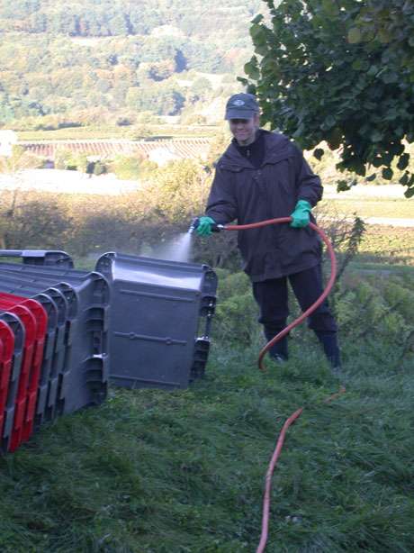 Cleaning bins in France