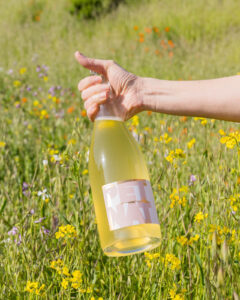 Lily's Pet nat bottle being held near tall grass