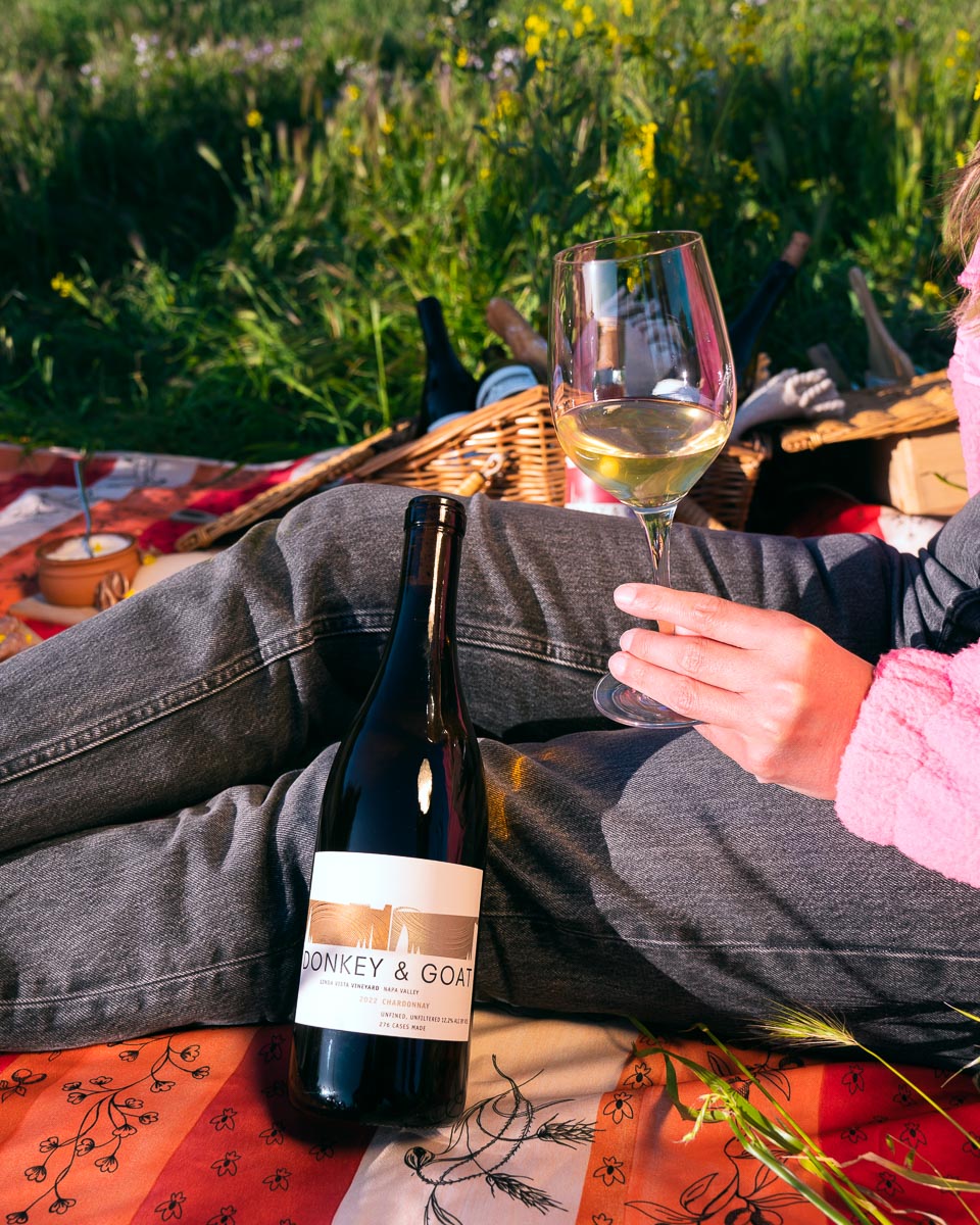 Bottle of Chardonnay leaning against person sitting on picnic blanket and holding glass of wine