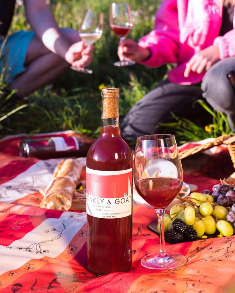 a bottle of Skinny Dip grenache on a picnic blanket next to a full wine glass with two people clinking glasses in the background