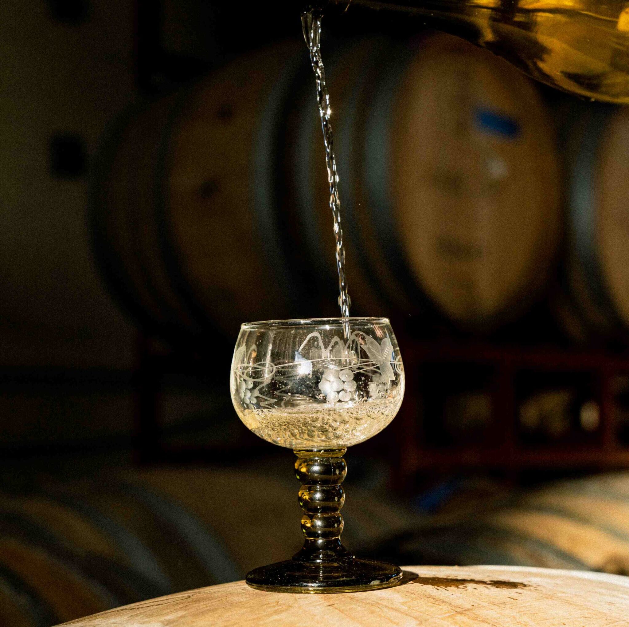 Sip & Savor