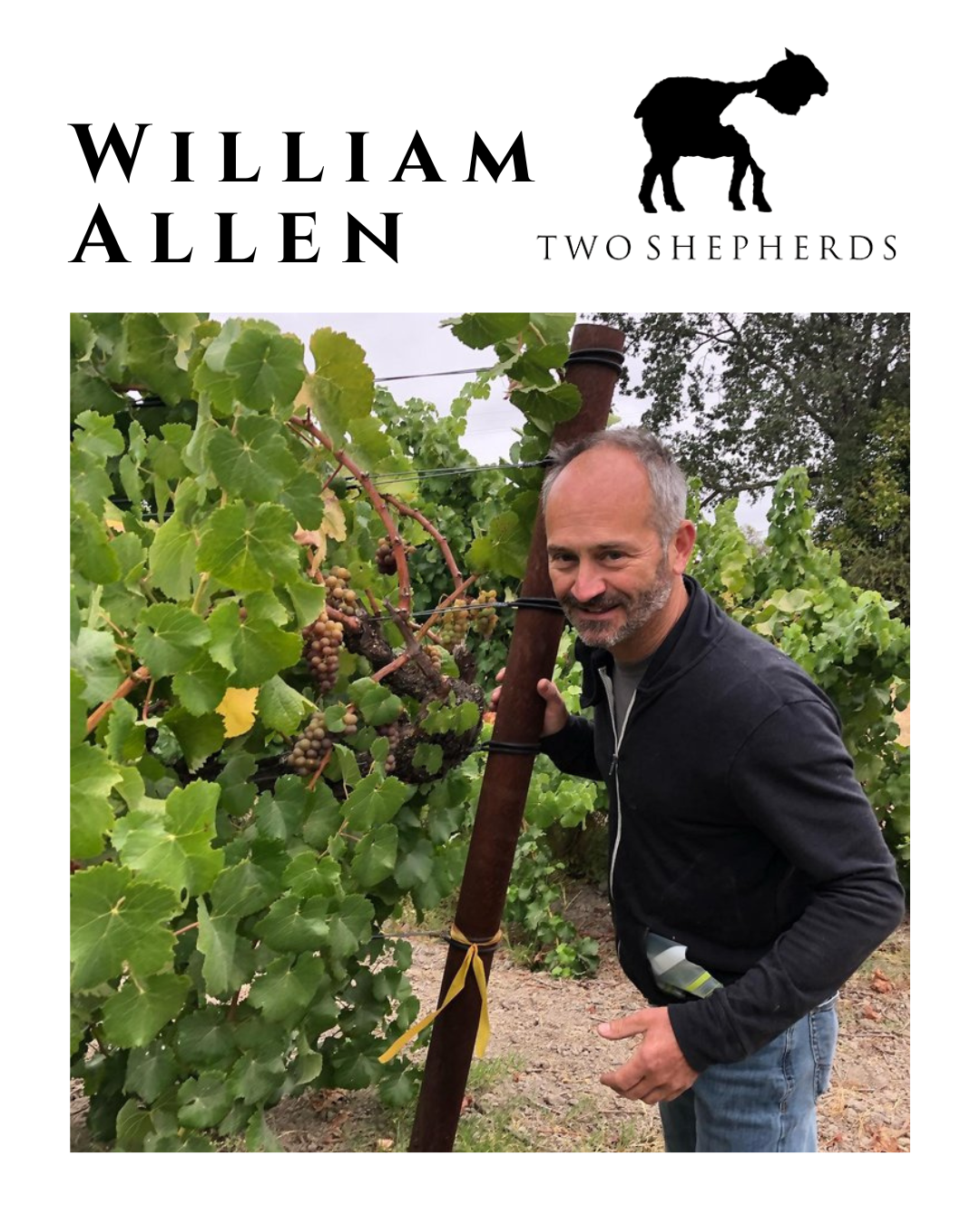 UNFILTERED with William Allen, Two Shepherds