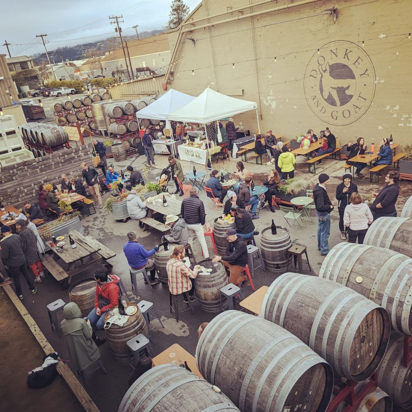 The courtyard full of people at barrel tables and umbrellas, with the Donkey & Goat logo on the wall