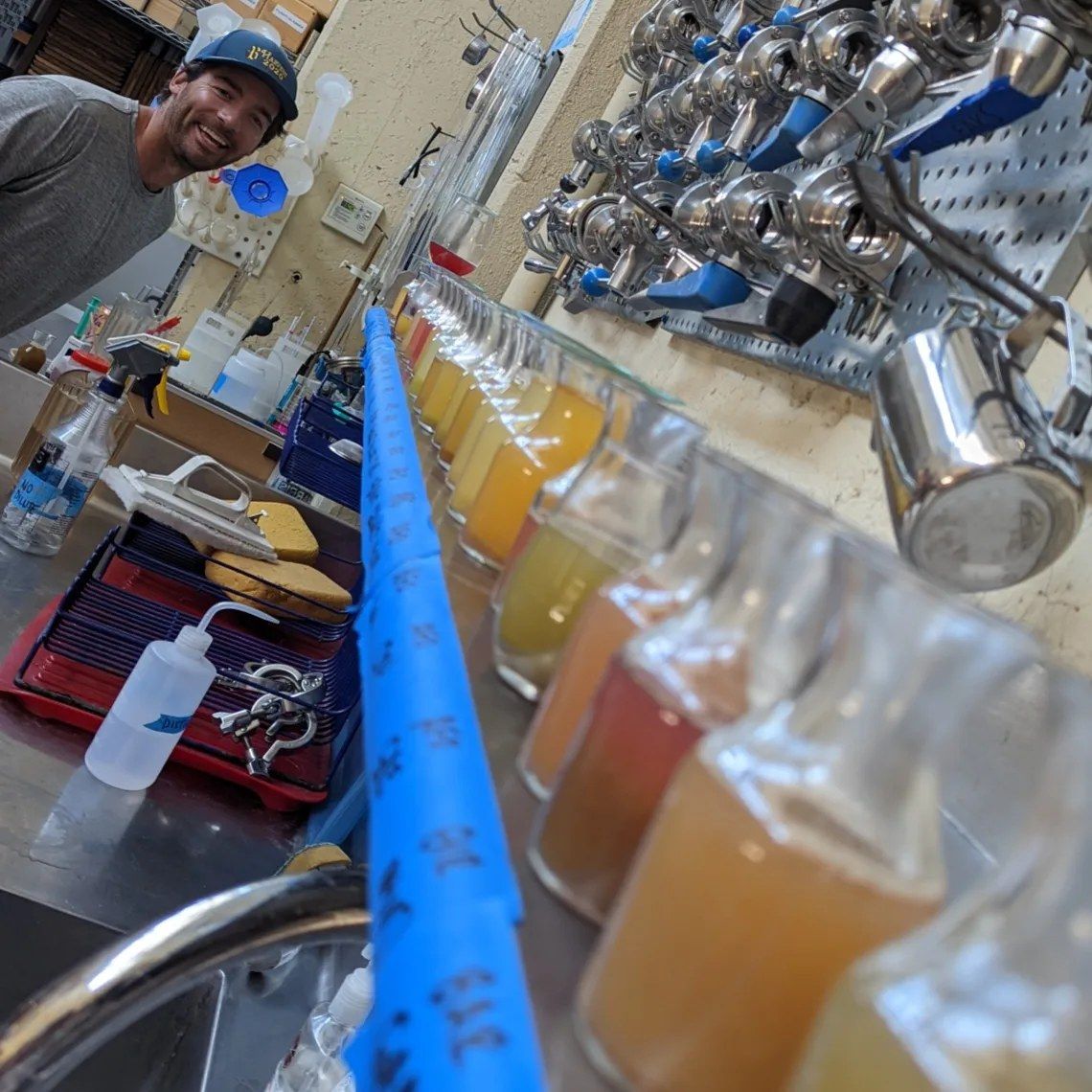 Samples lined up on the bench during a winery tour