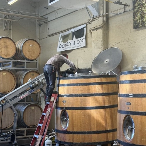 Working on the foudres during harvest