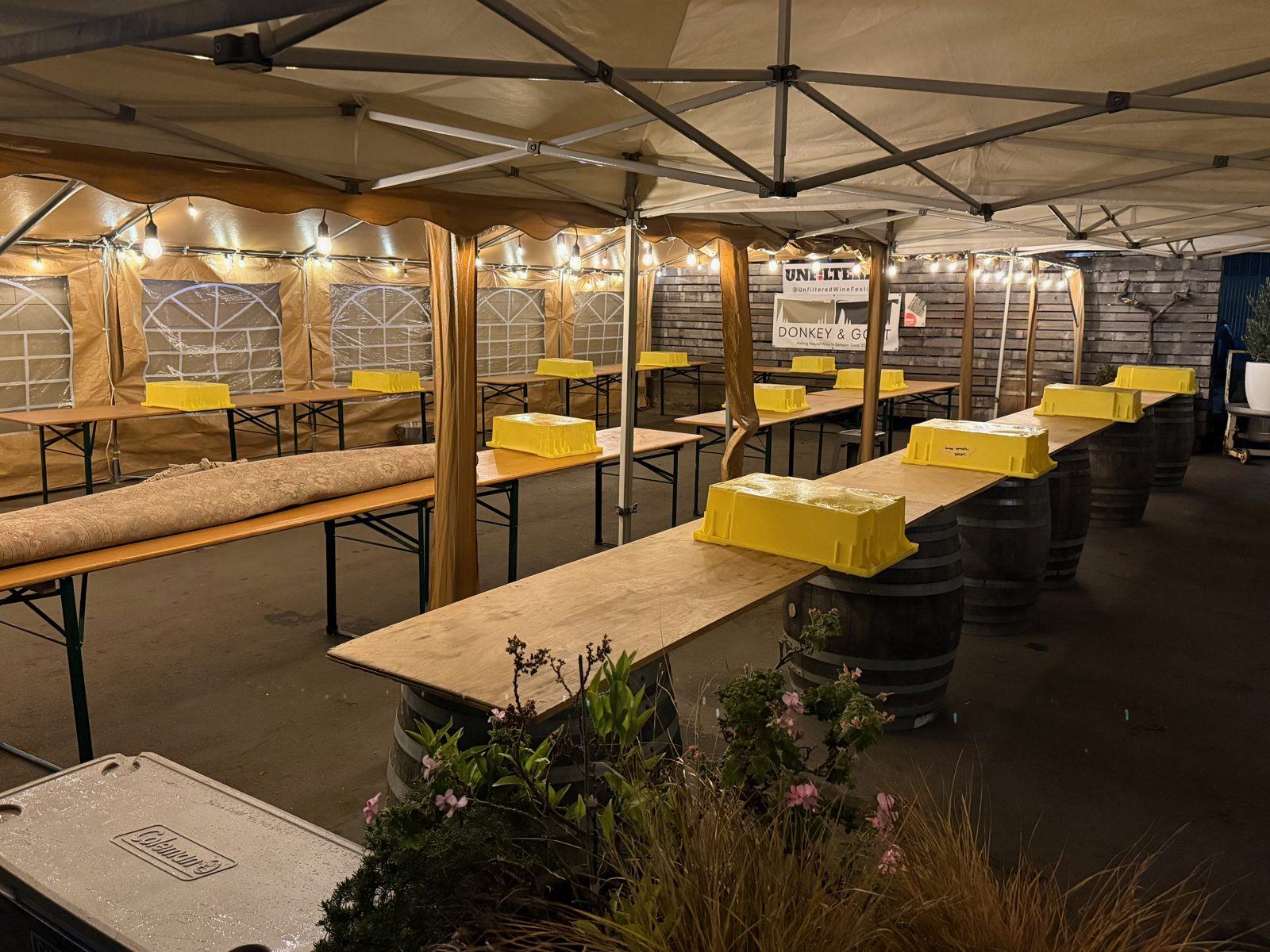 Patio & tent