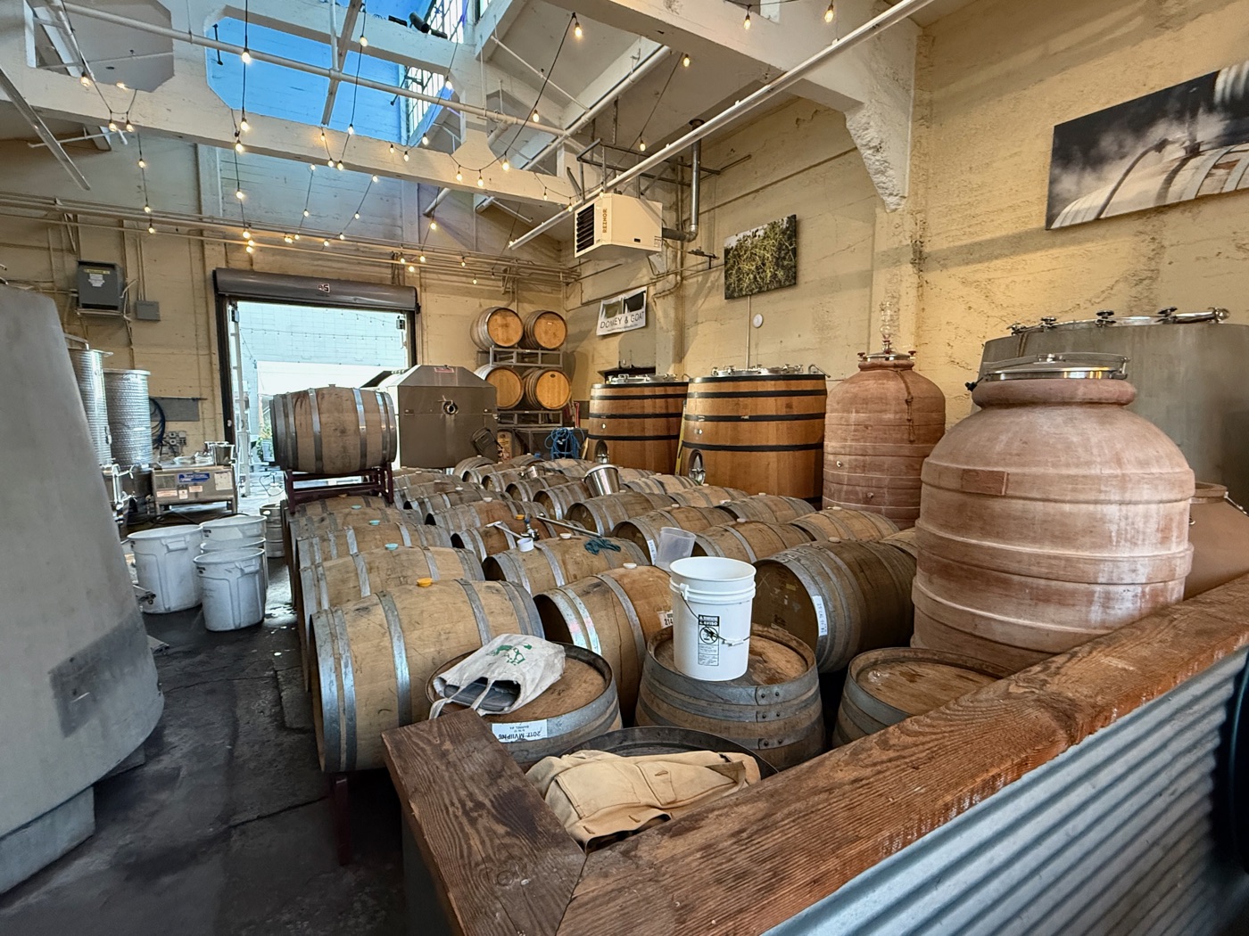 Barrels and tanks inside the winery